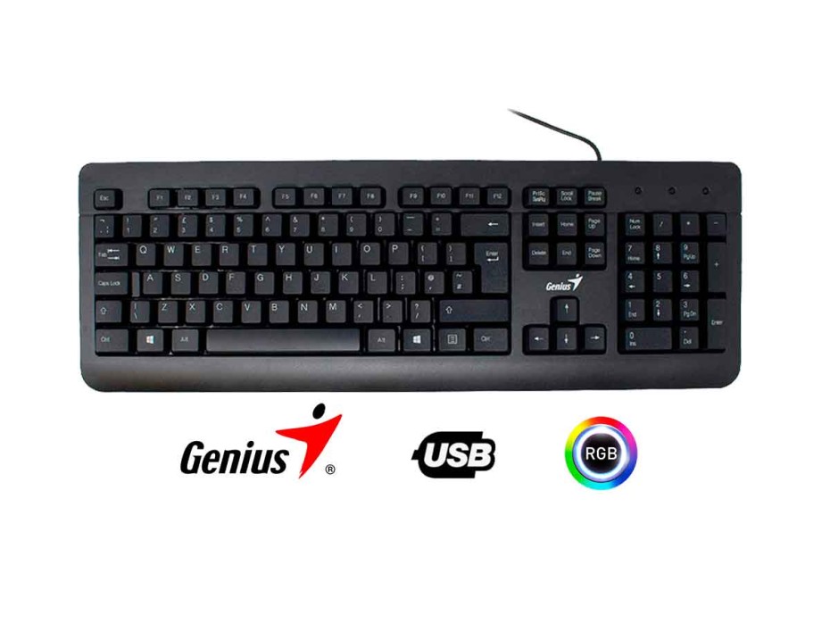 COMBO 2 EN UNO GENIUS KM 160 TECLADO EN FORMA CONCAVAS MOUSE 3